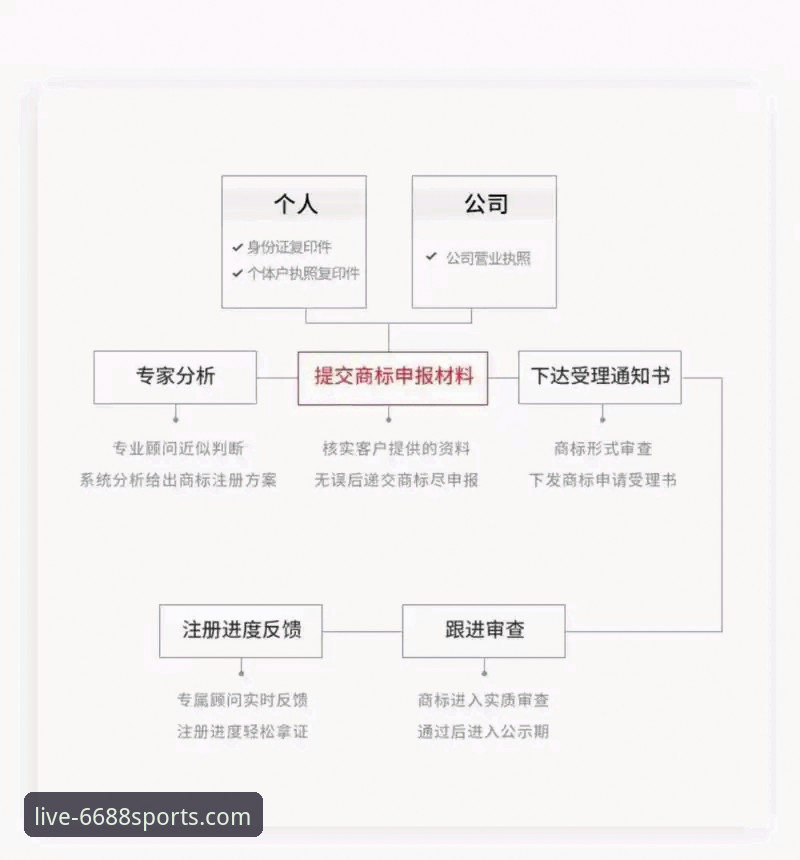深度揭秘6688体育平台：新用户注册全流程与技术细节剖析
